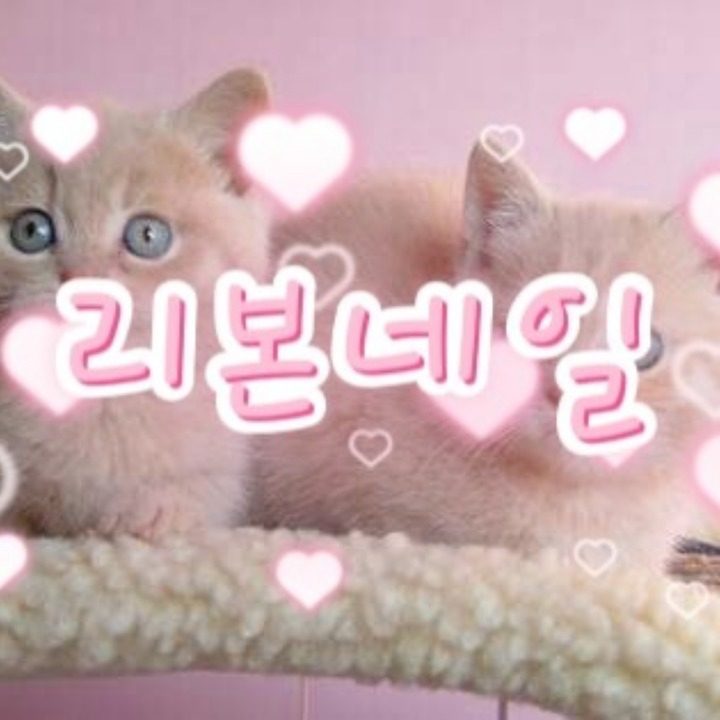 리본네일
