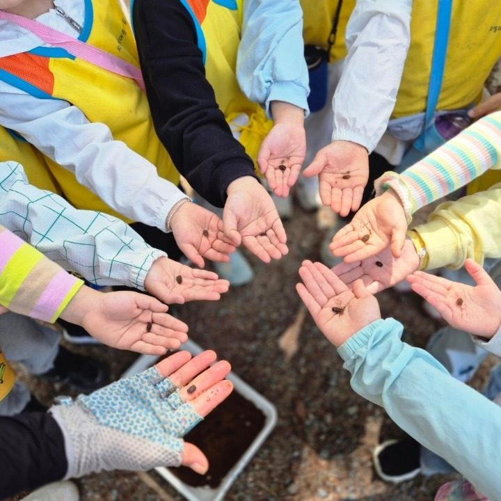 지성어린이집