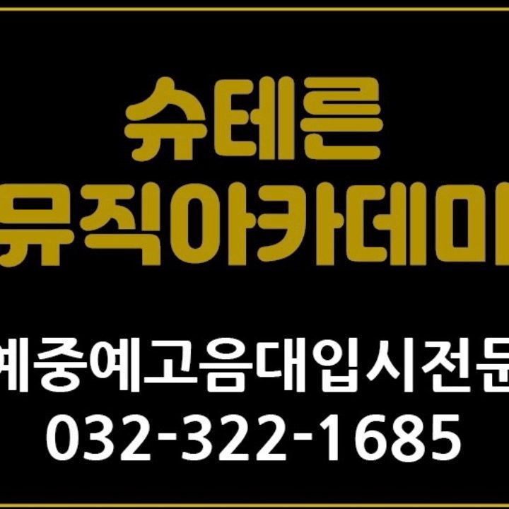 슈테른뮤직아카데미음악학원