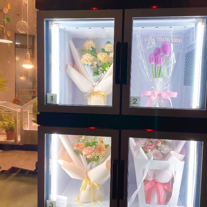 식물놀이터