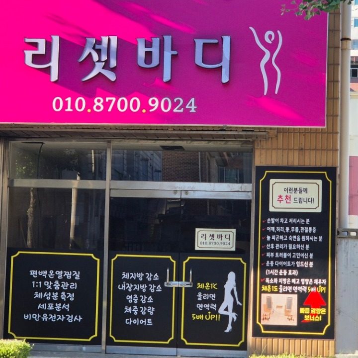 리셋바디