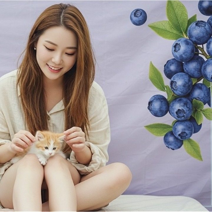 꽃지블루베리팜