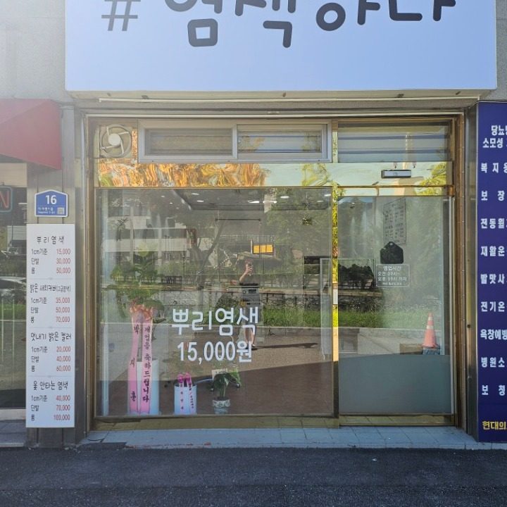 샾염색하다