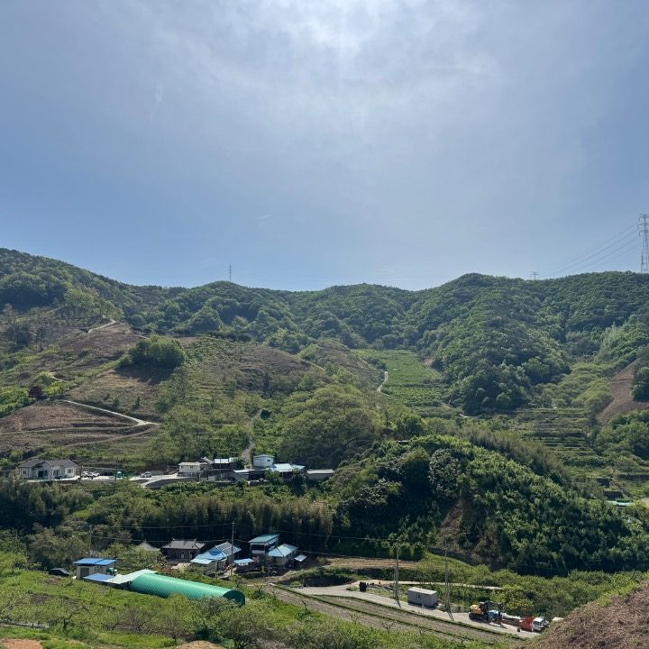 오늘도산들해