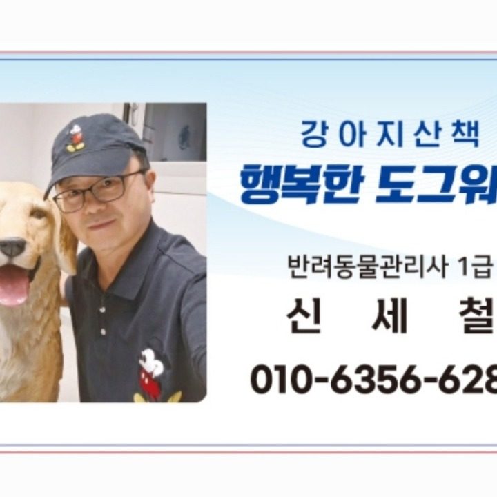 강아지산책