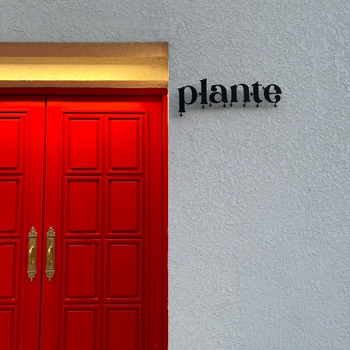 plante