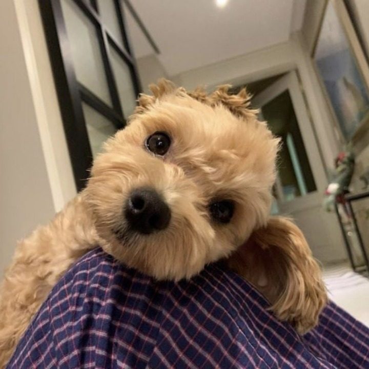 어뭄이