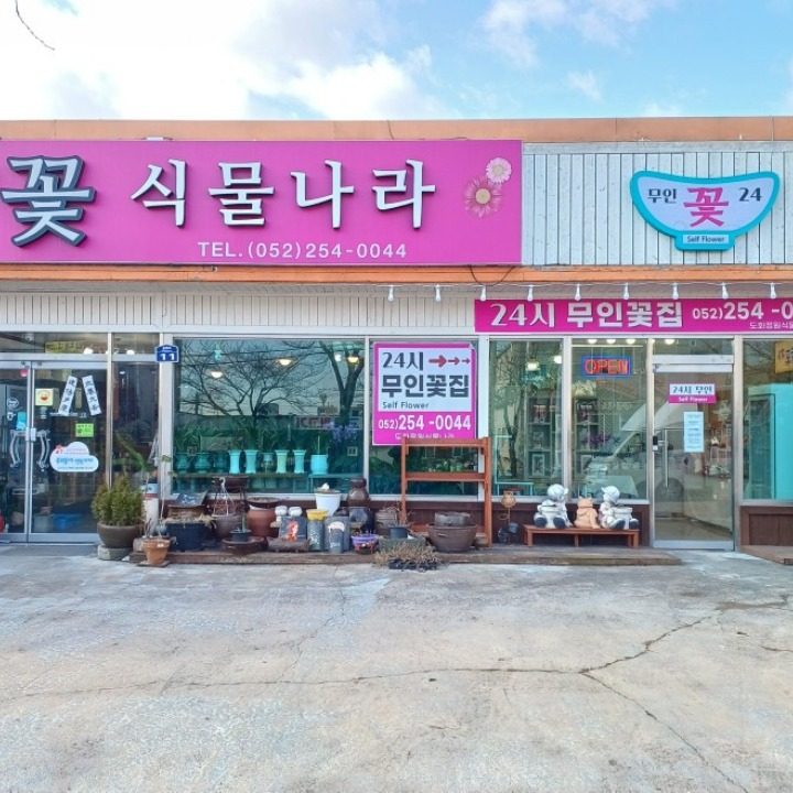 24시 무인꽃집 & 도화정원식물나라
