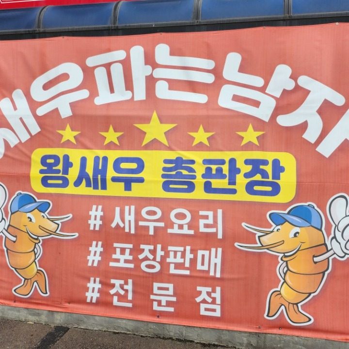 새우파는남자