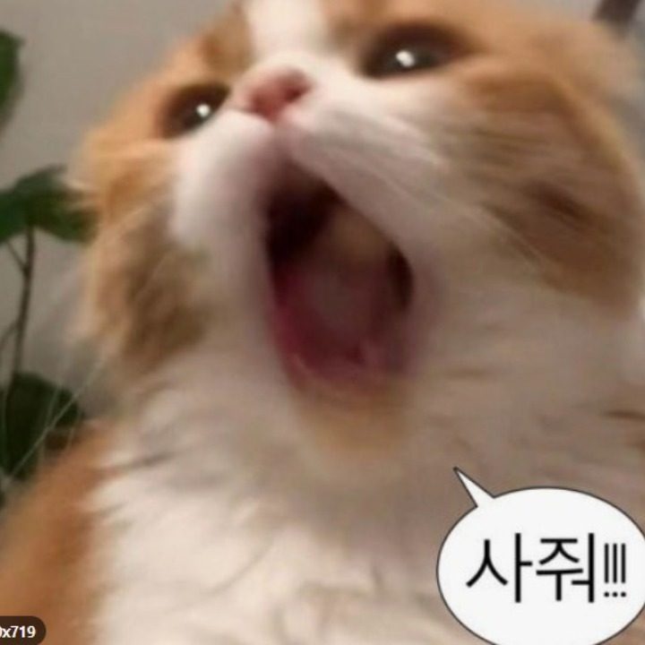 헬로홈