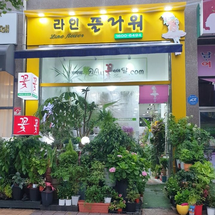 라인플라워