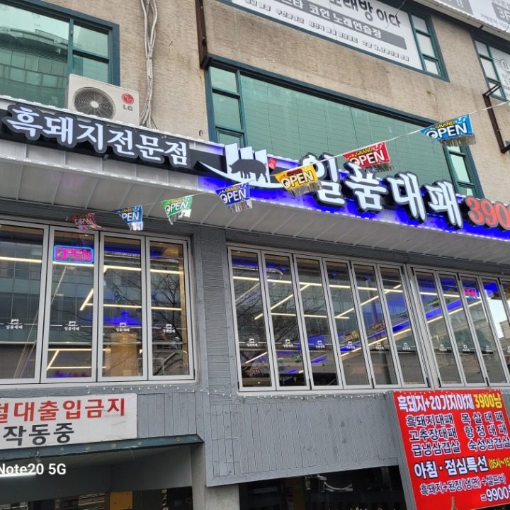 일품대패