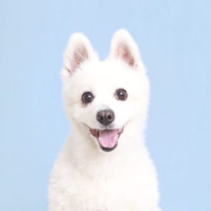 바니상점