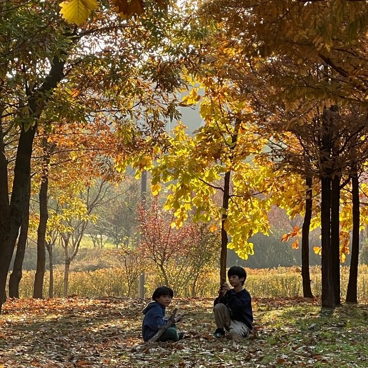 김포숲체험 모담산숲놀이터