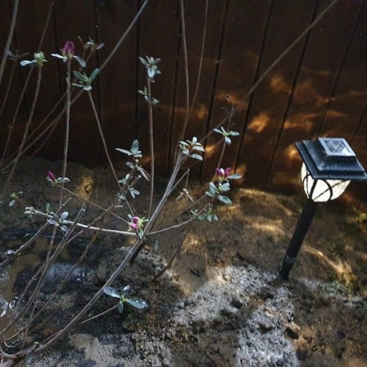 사하상점