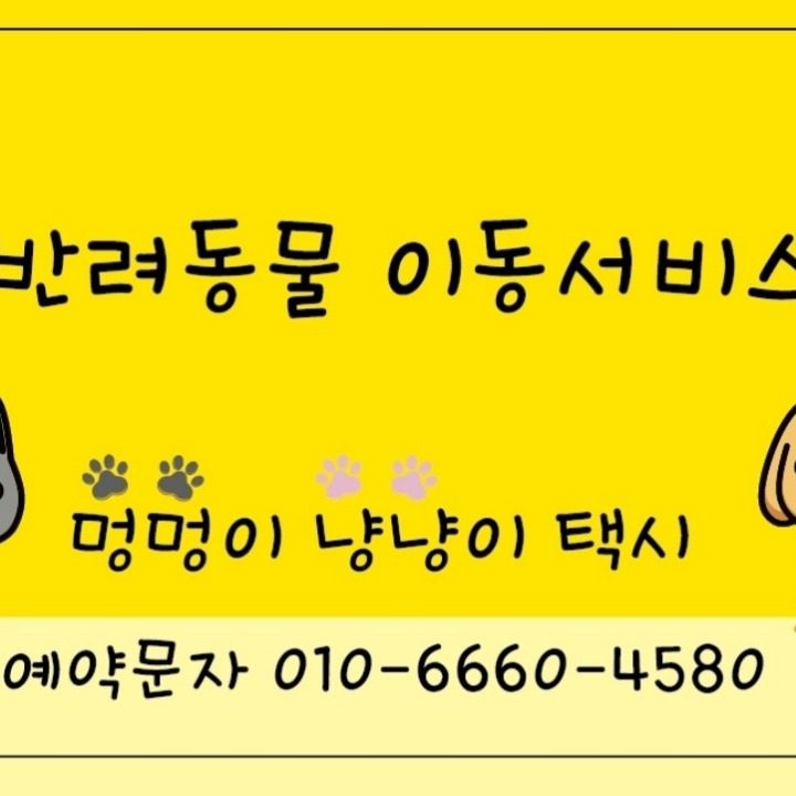 팻택시 멍멍냥냥
