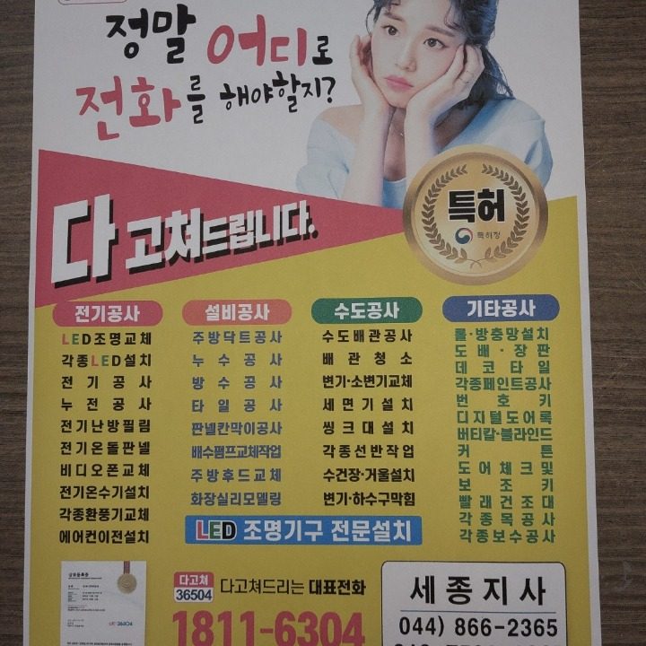 다고쳐 세종 수리남