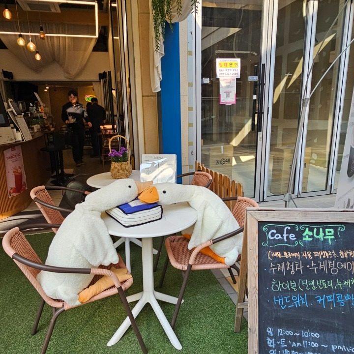 소나무