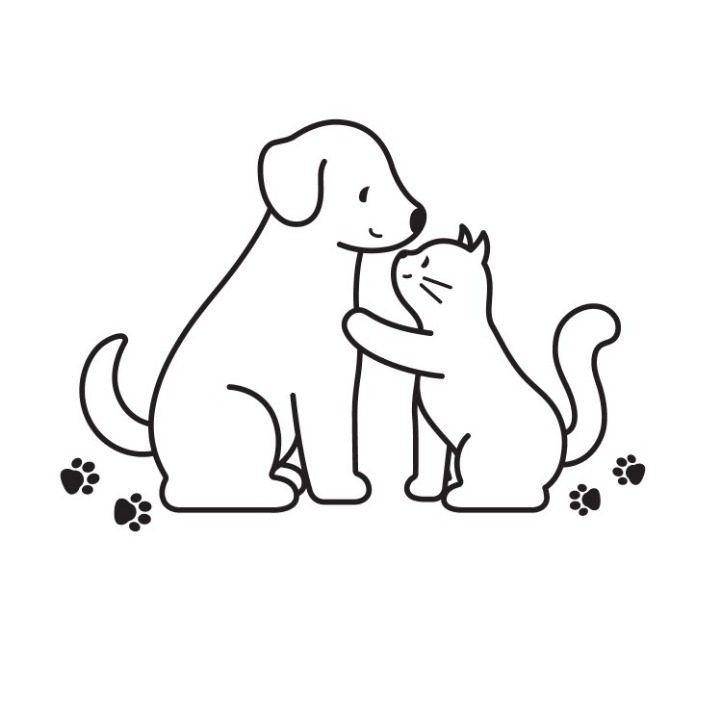 포앤테일pawNtail