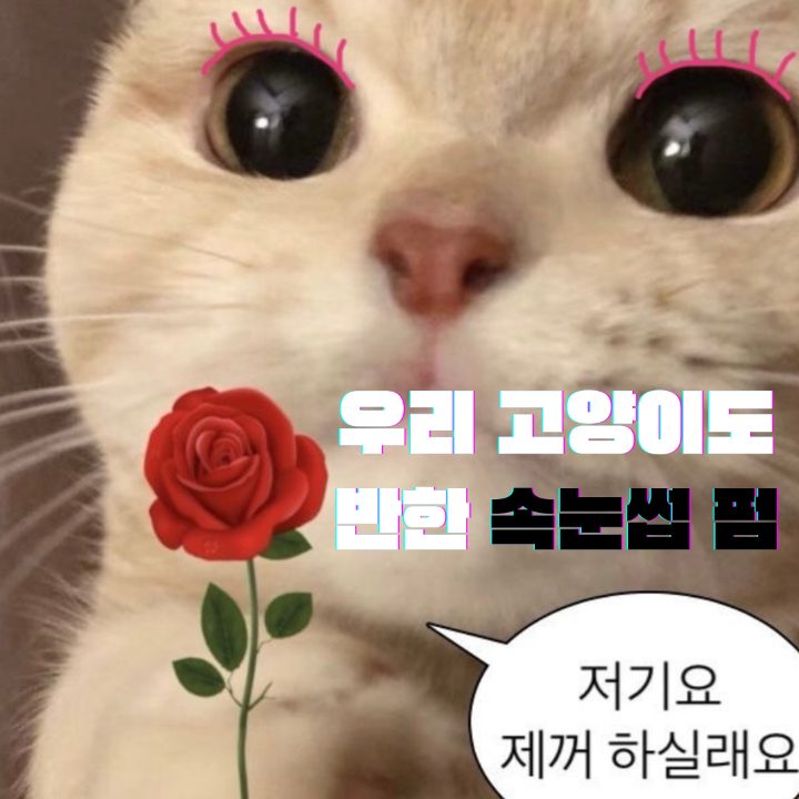 밀결