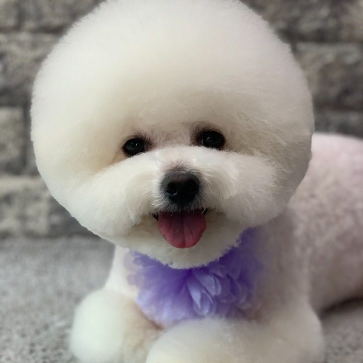 댕욕탕