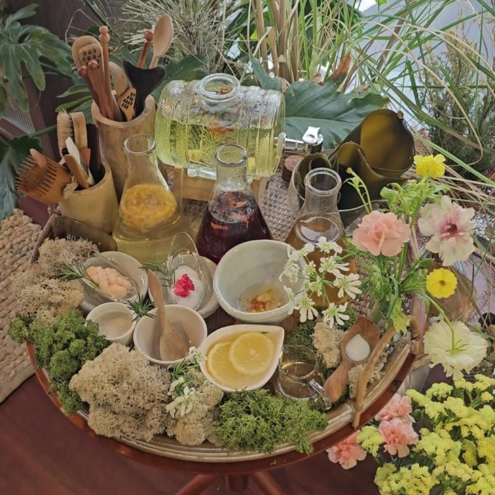 몽드르