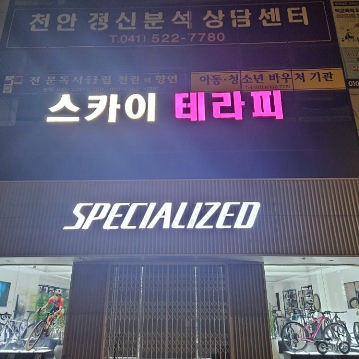 스카이