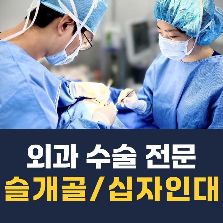 창원동물병원
