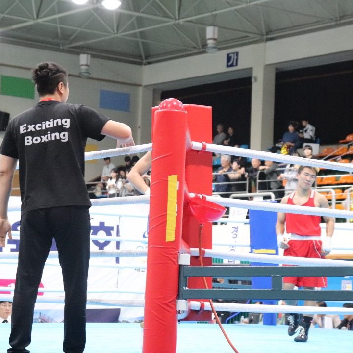 세종 익사이팅 복싱