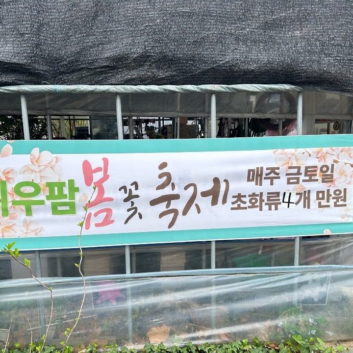 지우팜