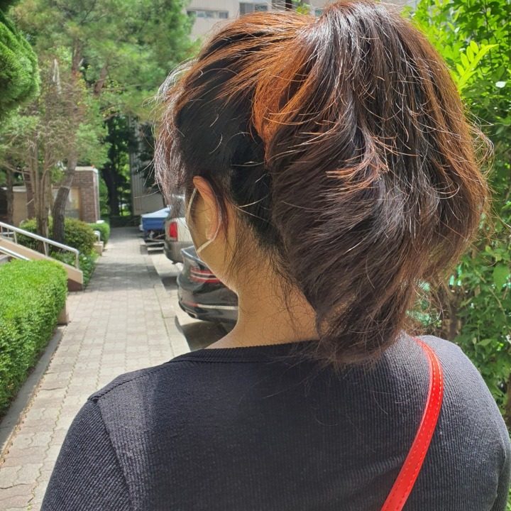 천연염색