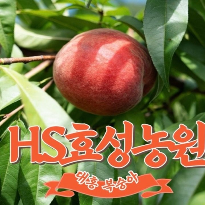 효성농원