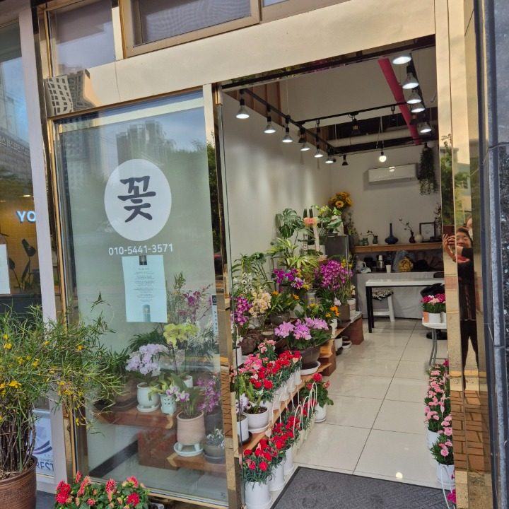 임은정꽃집