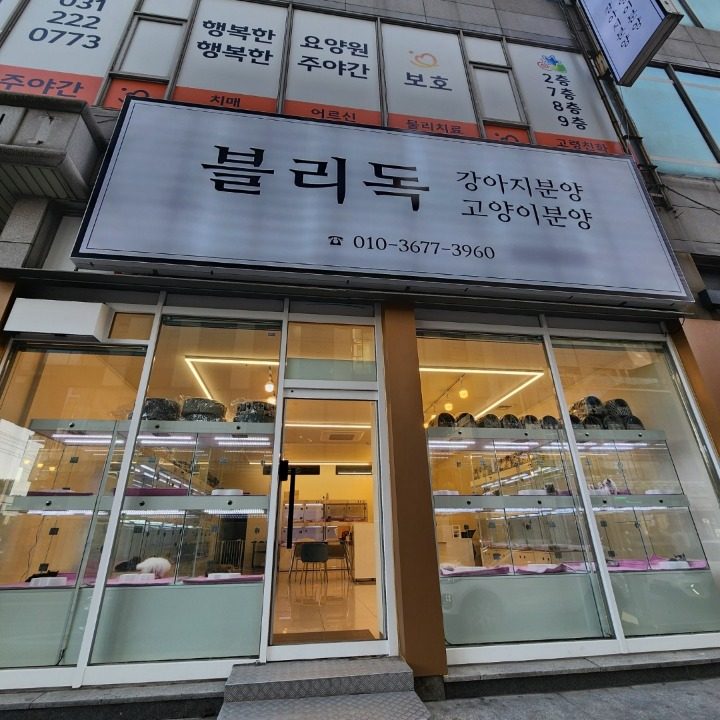 블리독
