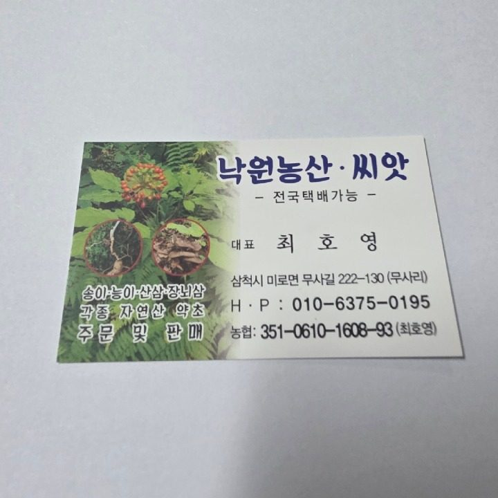 낙원씨앗