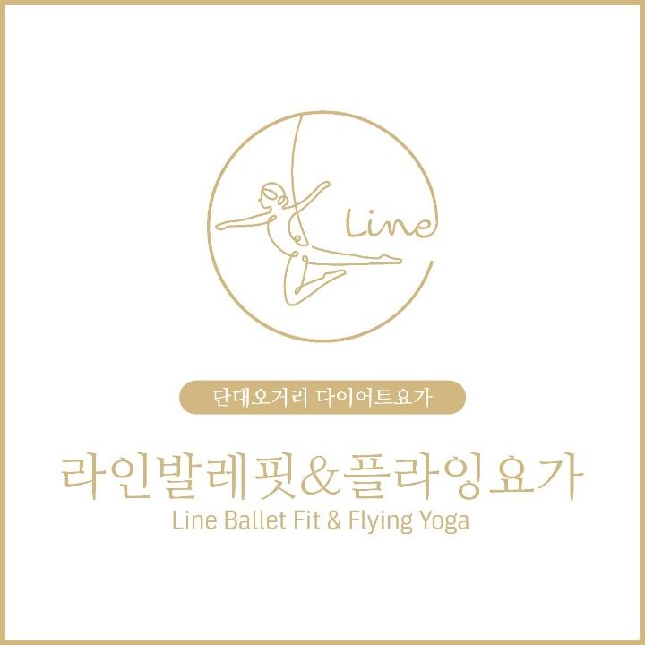 라인발레핏&플라잉요가
