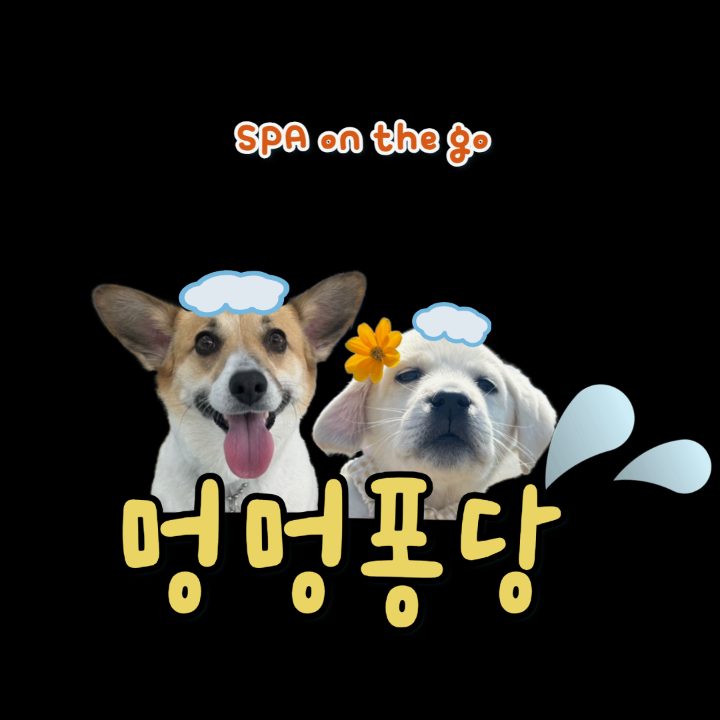 멍멍퐁당 애견출장목욕 전문점