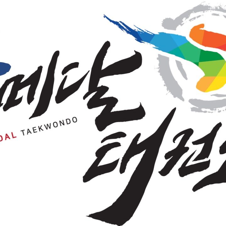 금메달태권도