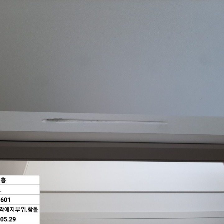 목수의 신