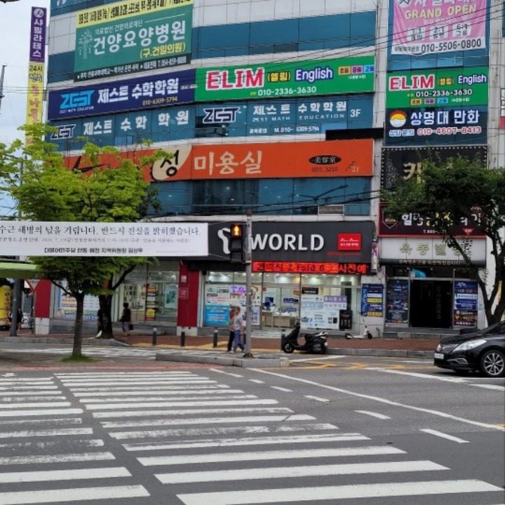 ELIM영어