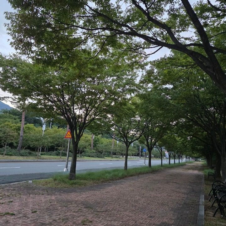 전략인재개��발원