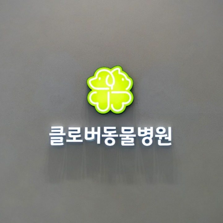 클로버동물병원