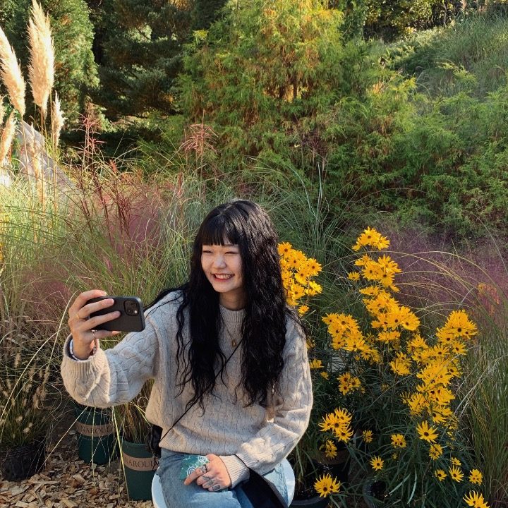 파우제