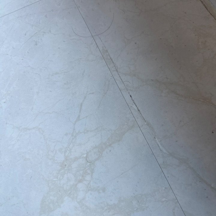 시지본