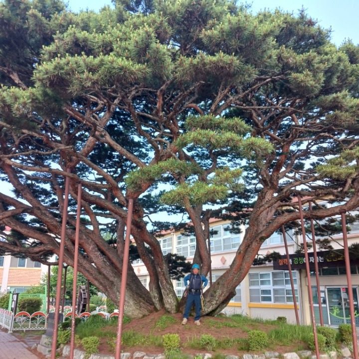 보림조경