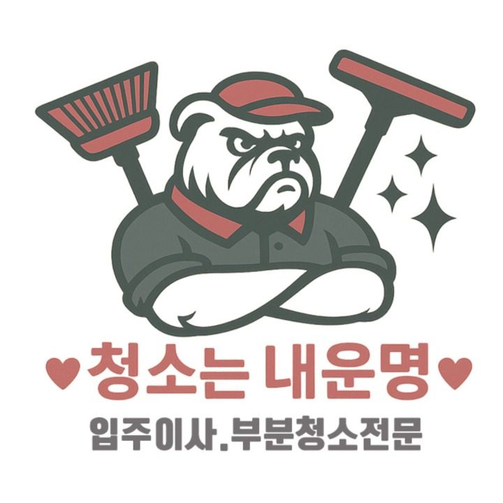 청소는내운명