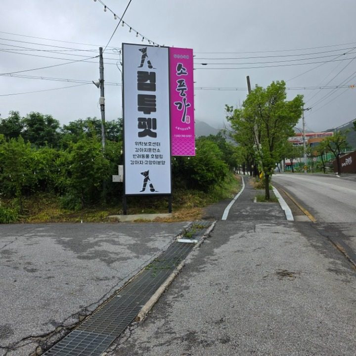 소풍가