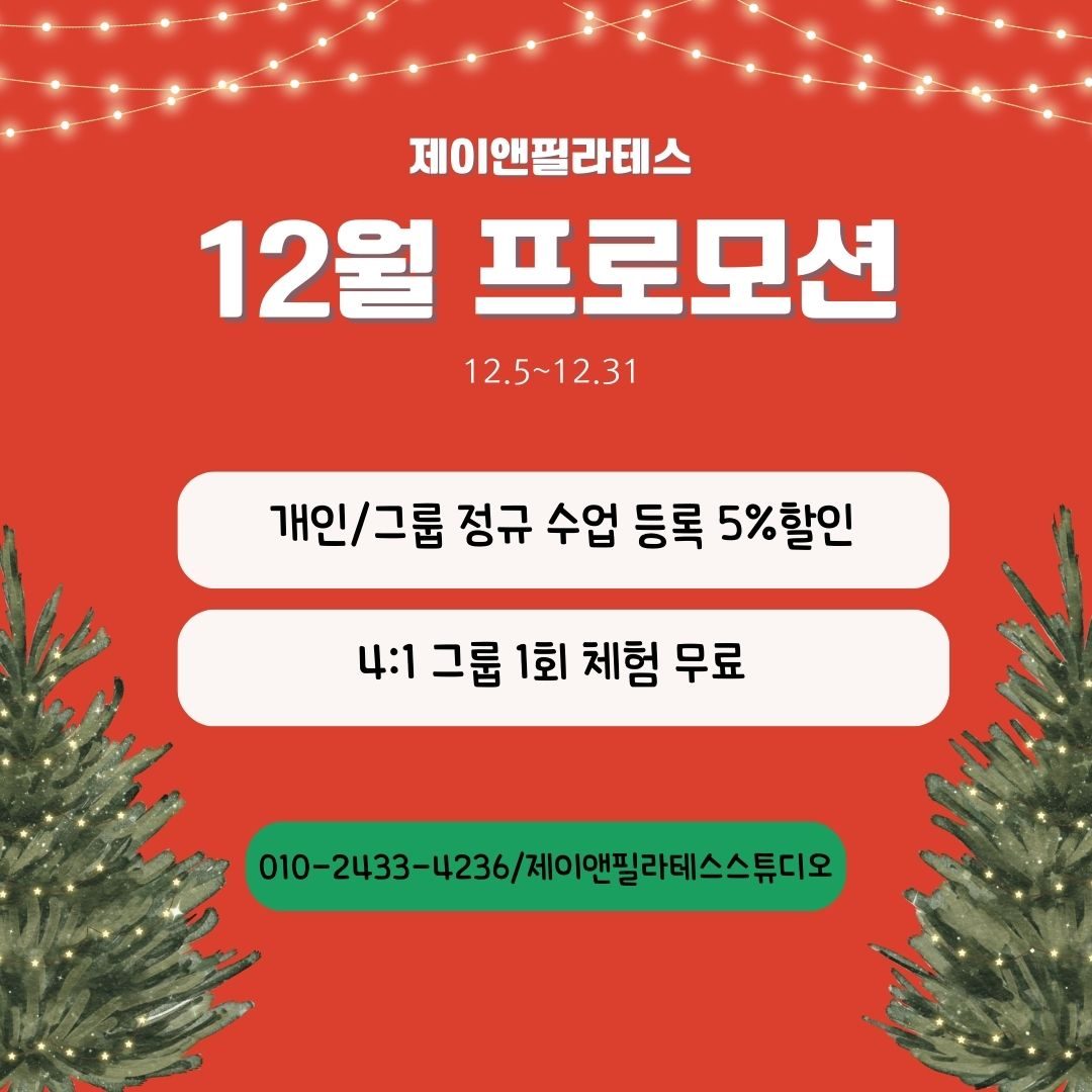 12월 프로모션