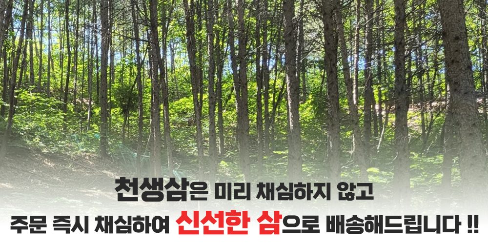 [할인특가] 크리스마스 연말에도 저희 천생삼 산삼 드시고 건강하세요~