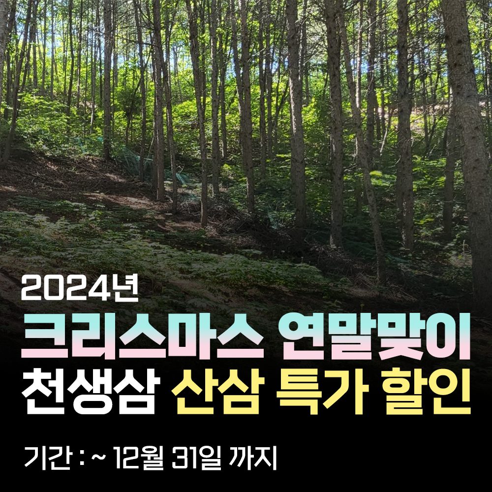 2024년 한 해 마무리를 하며 🎄 크리스마스와 연말 맞이 산양산삼 특가 판매합니다 !